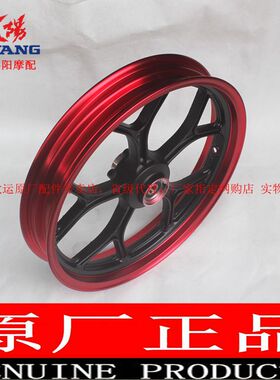 大运摩托车原厂配件DY150-200/200-2X天錾前后钢圈轮毂车轮车圈