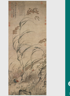吕纪画草花野禽国画花鸟画