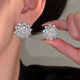 爆闪锆石耳钉银针精致高级感冰花耳环设计感轻奢耳饰新款 日常百搭