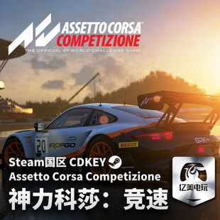 Steam 正版 PC 游戏 神力科莎：竞速 Assetto Corsa Competizione 国区激活码 CDKEY