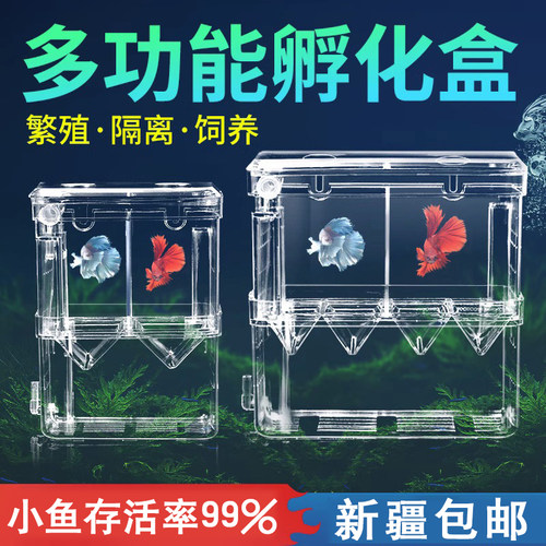 鱼苗孵化器孔雀鱼繁殖盒隔离盒