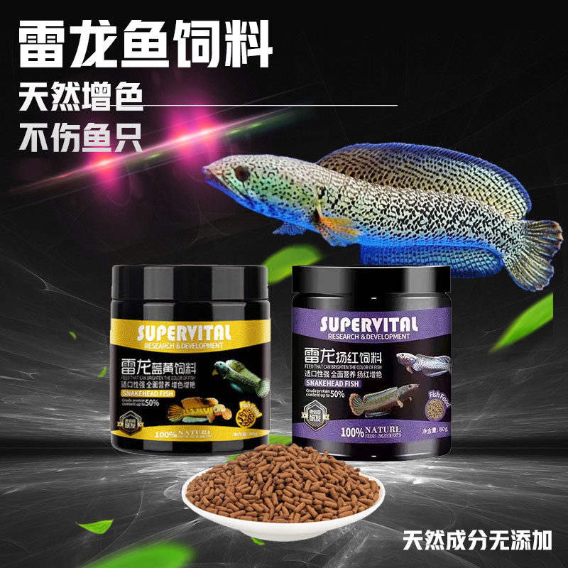 雷龙颗粒饲料速倍妥铅笔七彩鱼食