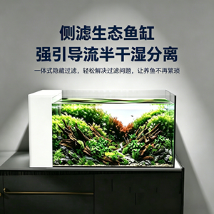 侧滤超白玻璃缸养鱼办公室造景缸