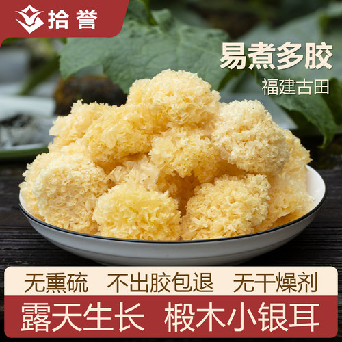 野生椴木小银耳软糯易出胶无硫磺