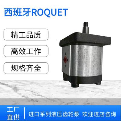新款西班牙ROQUET油泵1L6D 1LQ7.5D 1PLD54 1PLA36D 1LP7.5 1包邮
