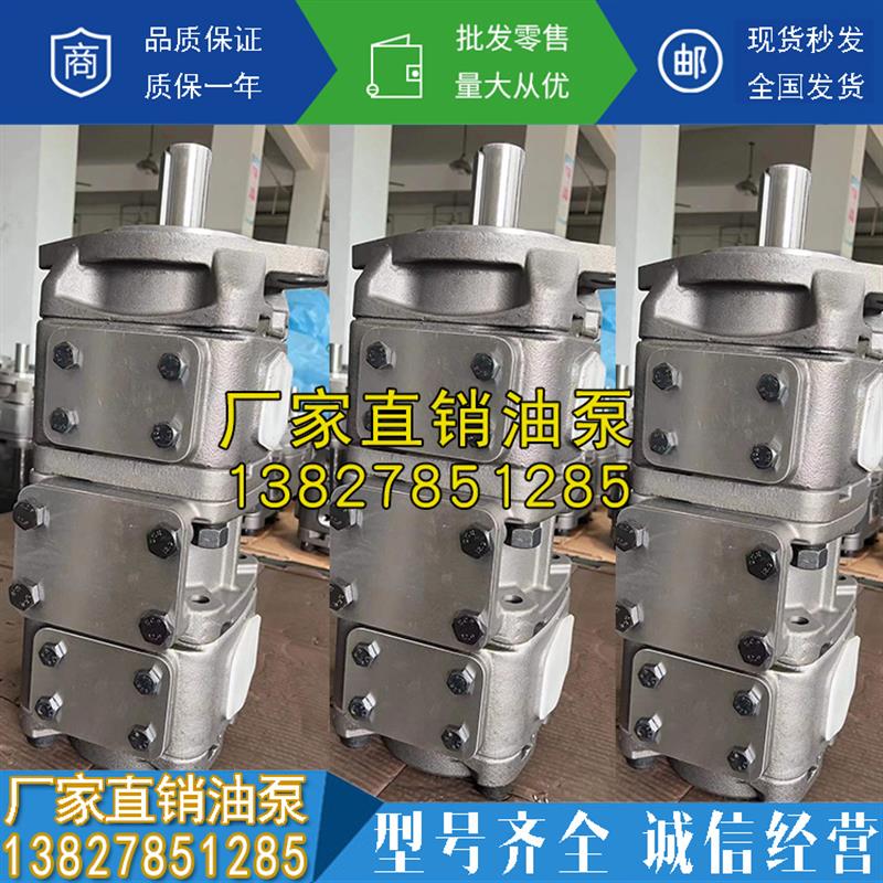 全新伺服机齿轮泵HG22-125-100-01R-VPC高压油泵HG22-125-80-包邮