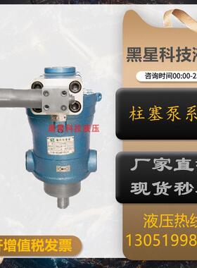 新款上海邵扬 10/16/25/40/63/80/100/160/250PCY14-1B轴向柱包邮