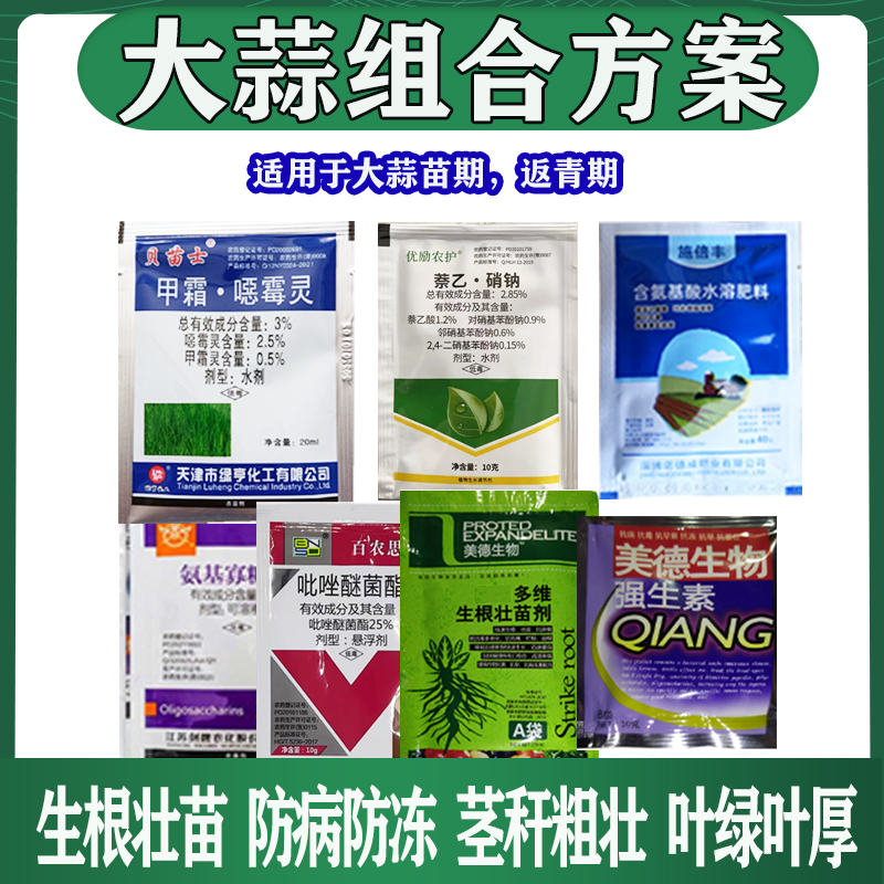 大蒜苗期专用蒜苗干叶黄叶生根壮苗抗病抗逆茎秆粗壮调节生长组合