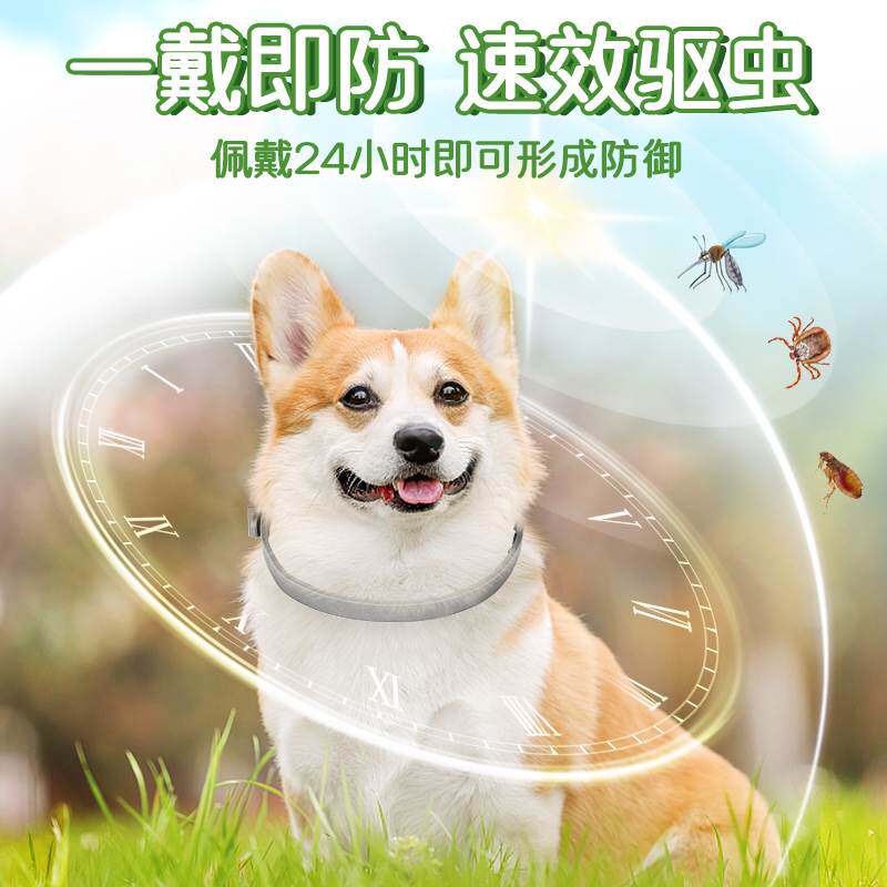 狗狗项圈驱虫防跳蚤猫咪体外驱蚊除虱宠物室外脖圈药环去蜱虫用品