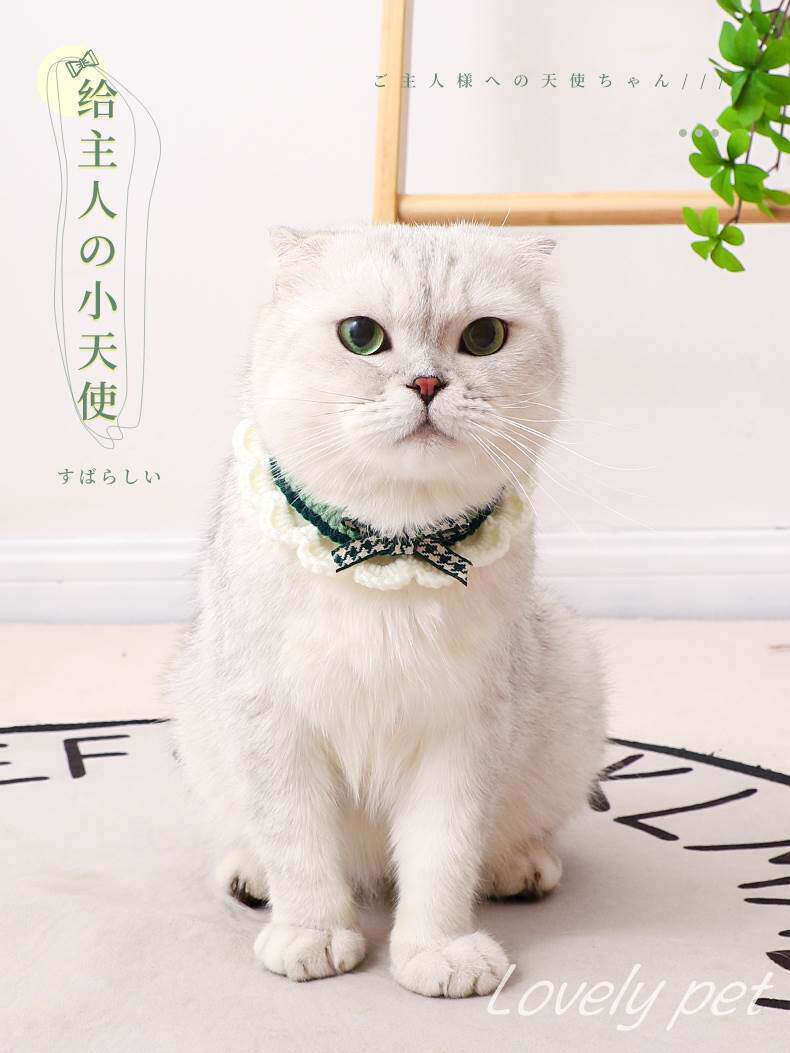 猫咪围脖小猫围巾狗狗围脖项链可爱口水巾针织项圈宠物配饰装饰品
