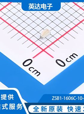 ZSB1-1606C-10-C4 原装正品 4000个/圆盘