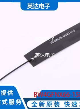 BW4GFNX66-15B1L50 原装正品 -