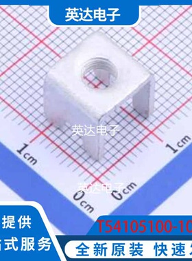 T54105100-1050 - 原装正品