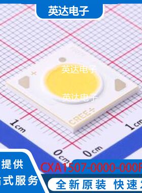 CXA1507-0000-000F0UF240G 原装正品 SMD,15.9x15.9mm