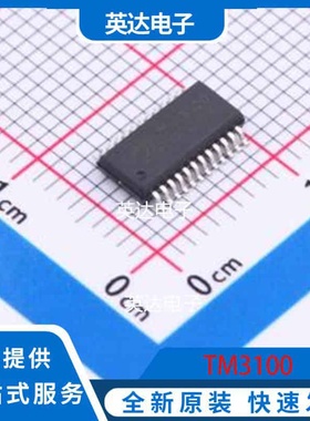 TM3100 QSOP-24 原装正品