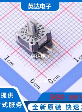 SKBR-16H1 插件 原装正品