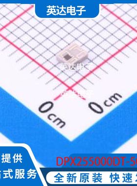 DPX255000DT-5089A1 原装正品 -