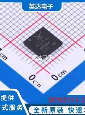 SKY65313-21 LGA-28(6x6) 原装正品