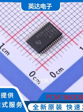 PCM1860DBT TFSOP-30-175mil 原装正品