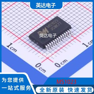 MS1023 原装正品 SSOP-28-208mil