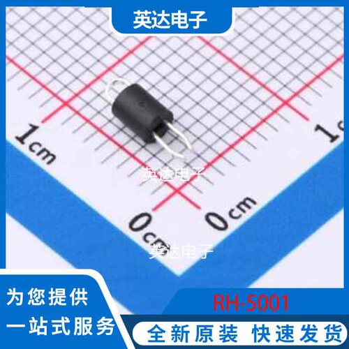 RH-5001 - 原装正品
