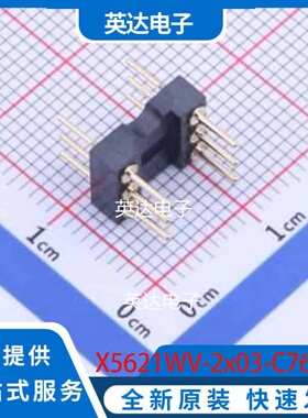 X5621WV-2x03-C762D1220 DIP-6 原装正品