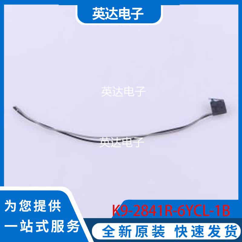 K9-2841R-6YCL-1B 原装正品 -