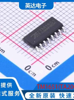TM1651(TA2007) SOP-16 原装正品