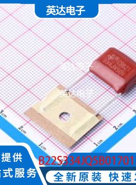 B22S334JQ5B0170130060EOJ 原装正品 插件,P=15mm