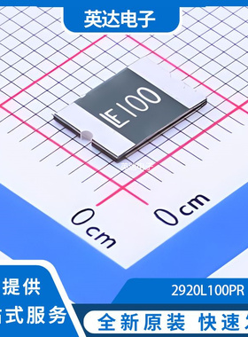 2920L100PR 原装正品 2920