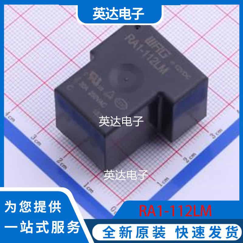 RA1-112LM 插件,27x32mm 原装正品