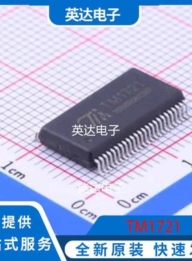 TM1721 SSOP-48-300mil 原装正品