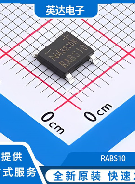RABS10 原装正品 ABS