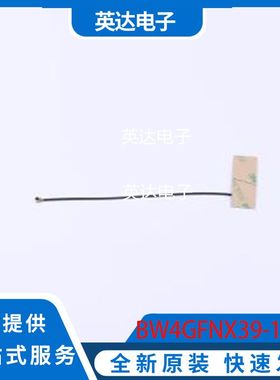 BW4GFNX39-15B1 原装正品 -