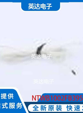 NTWB1002FB39500146 - 原装正品