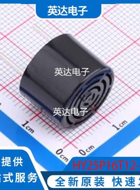 HY25P16T12-1 原装正品 插件,16x12mm