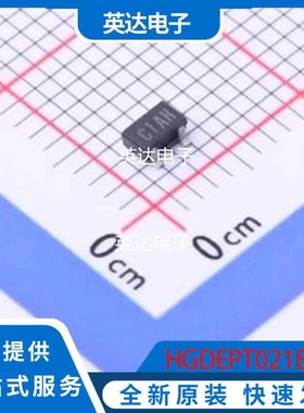 HGDEPT021B 原装正品 SMD