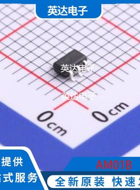 AM01B 原装正品 DFN-6-EP(2x2)