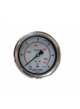 德玛仕DMASS压力表100表径 MBB10U-600-1-ZZZ