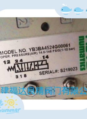 ASCO电磁阀Numatics YB3BA4524G00061