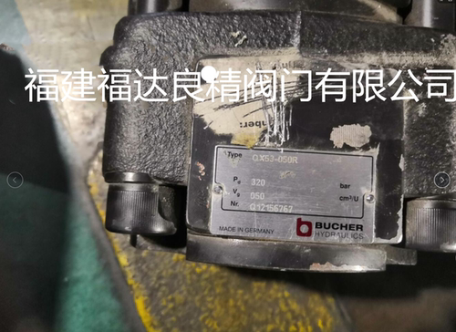 德国BUCHER布赫齿轮泵高压泵双联泵QX53-050R