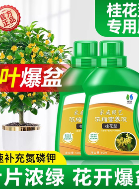桂花树肥料专用肥营养液植物枯叶病叶子焦尖移栽通用金桂银桂花肥