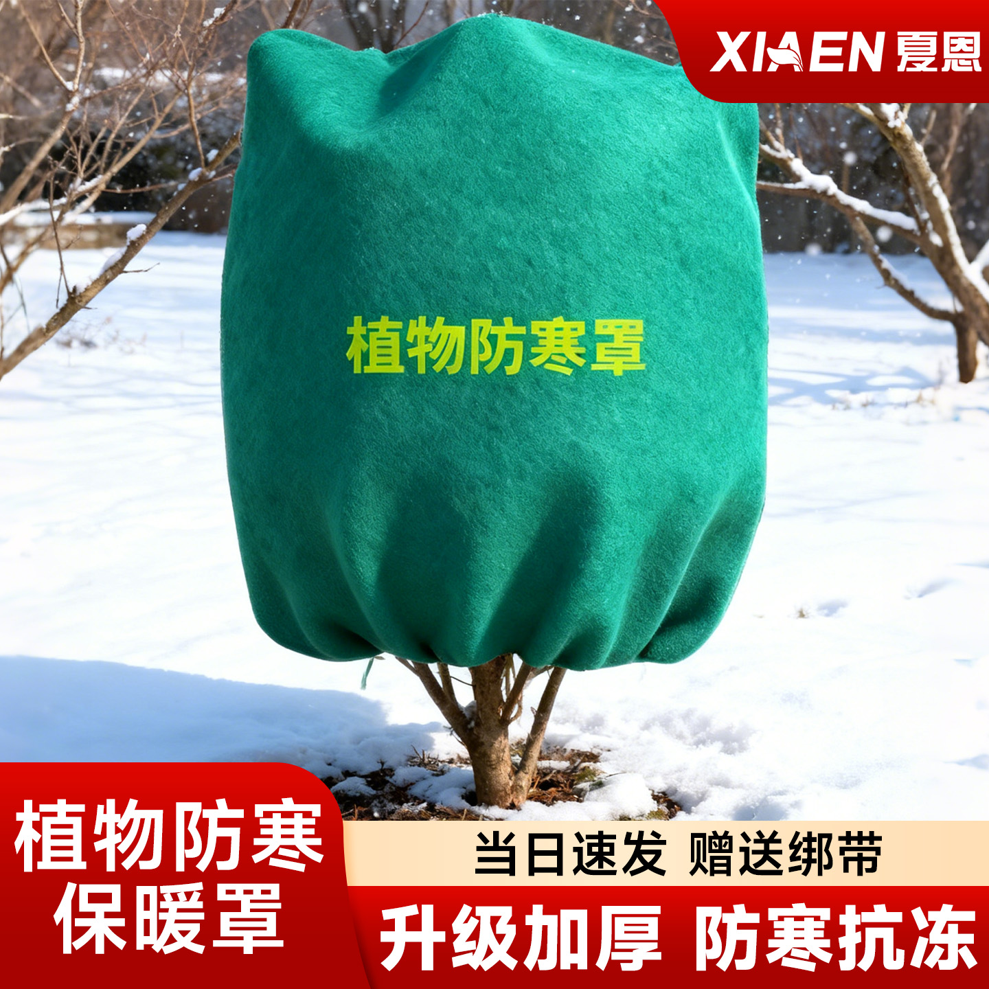 植物防寒保暖罩升级加厚发货快速
