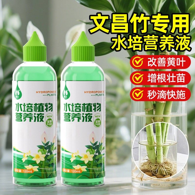 文昌竹营养液水培4支金榜题名专用绿植物富贵竹佛手柑花盆发财树,鲜花速递/花卉仿真/绿植园艺,绿植,淘宝优惠券,粉丝福利购,淘宝优惠卷