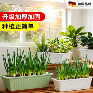 养花种菜盆新手专用蔬菜花卉种植箱家用大号塑料长方形户外加厚盆