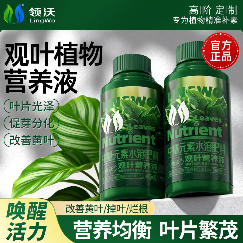 观叶植物专用营养液室内盆栽阳台水培绿植通用肥料中量元素水溶肥
