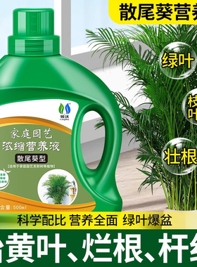 散尾葵专用营养液治叶子发黄枯叶黄凤尾竹夏威夷竹室内盆栽通用型