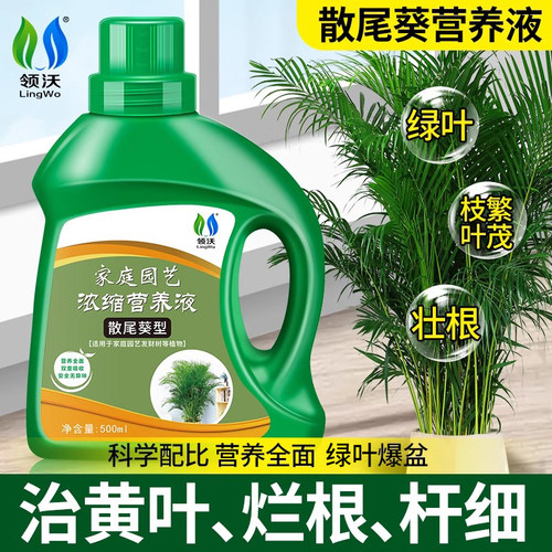 领沃治叶子发黄枯叶室内盆栽通用