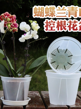 蝴蝶兰专用花盆透明透气加厚塑料青山盆兰花育苗杯家用盆栽控根盆