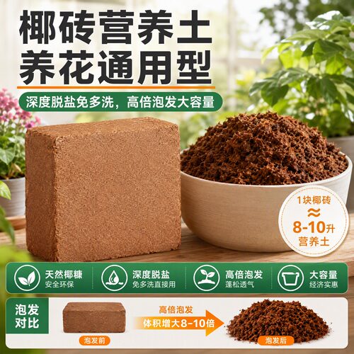 脱盐椰糠椰砖营养土通用养花种菜